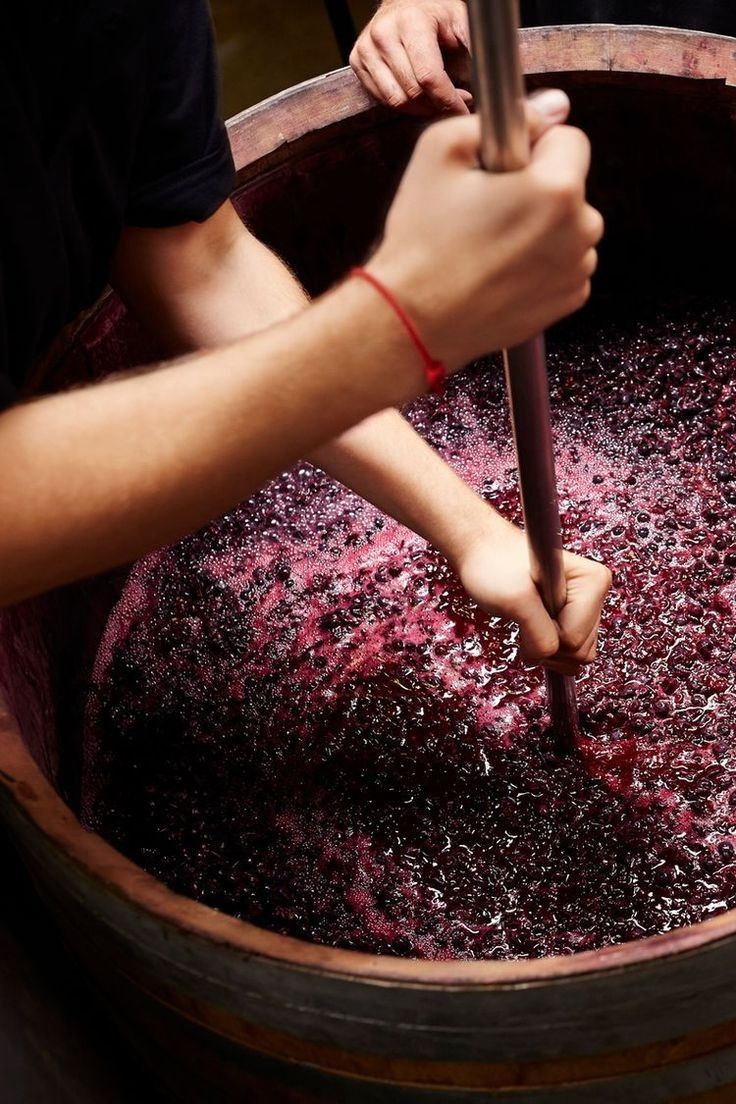 Resveratrol a highly popular ingredient in luxury European skin care products.