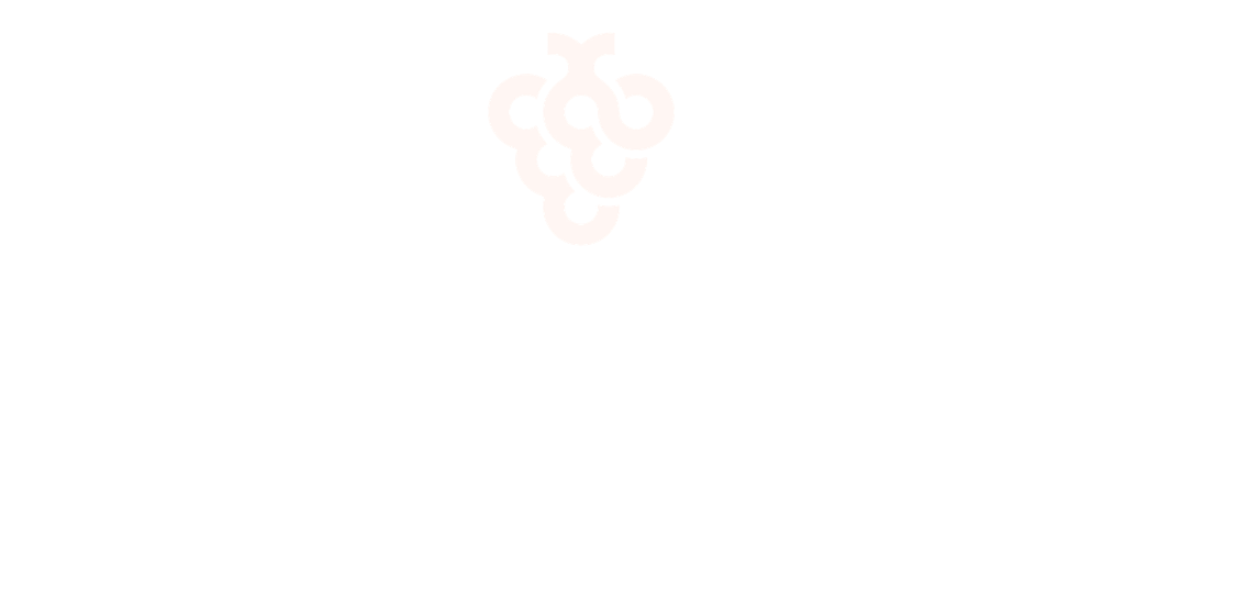 VINSKYN